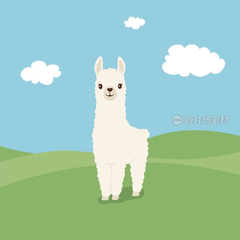Cute illustration of Llama on green field